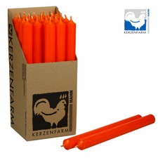 1 Stabkerze  250 X 22 mm