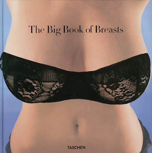 The big book breasts dian - book,
