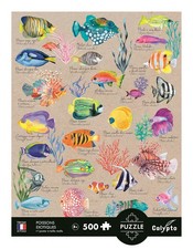 Puzzle (1000 T.) Exotische Fische (Calypto) NEU/OVP