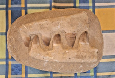 Mosasaurus, Kieferrekonstruktion, Fossil, Saurier