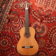 7 strings Guitar / 7-saitige