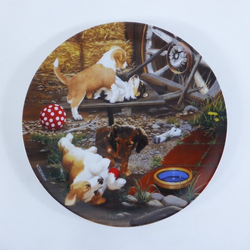 Willy tschudin hunde - tschudin,