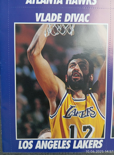 Vlade divac basketball usa - vlade,
