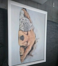 Rosina Wachtmeister WENKO Tablett / Kissen Knietablett