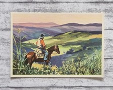 Brasilien Bergland Pferd Mittel Südamerika Sanella 1950er Werbung Sammelbild alt