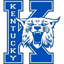 Kentucky wildcats sticker - kentucky,