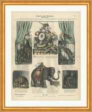 Kasperls große Menagerie I Trommel Affe Ara Münchener Bilderbogen 130 Gerahmt