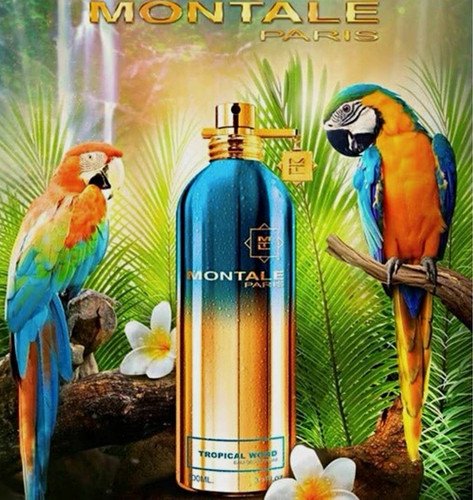 Montale tropical wood eau - montale,
