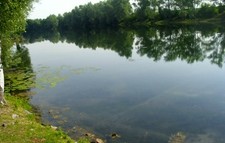 EPDM Teichfolie  1,5 mm  14,99 €/ m²   inkl. Versand