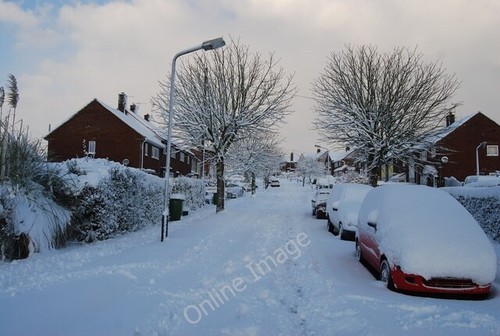 Foto 6x4 schneegebunden - 6x4,