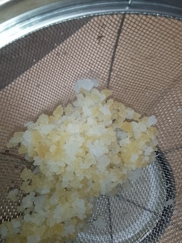 Gesunde wasser kefir - gesunde, wasser-kefir-kristalle