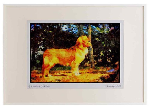 415095 toller bilderrahmen - toller,