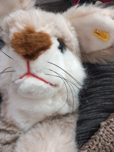 Niedlicher steiff hase liegend - niedlicher,