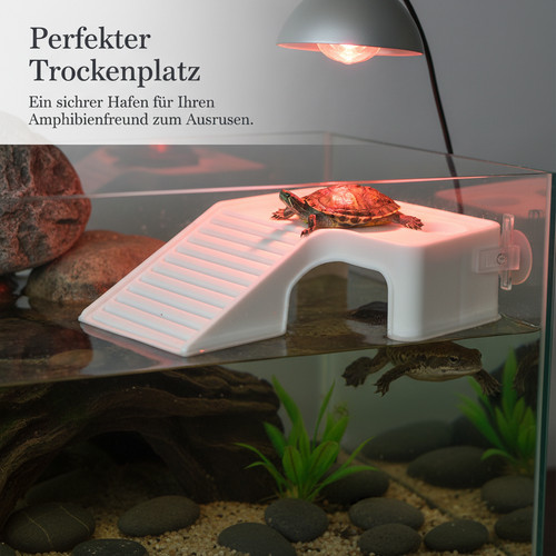 Aquarium schildkröten - aquarium,