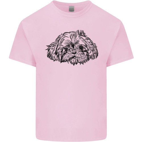 Shih tzu zeichnung - zeichnung, hunde