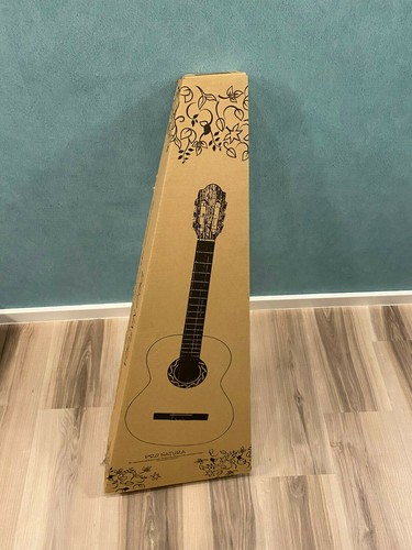 Einsteigerguitarre - , in