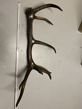 Deko Rotwild Geweih Hirsch Gold Silber Weihnachten Dekoration Reh DIY