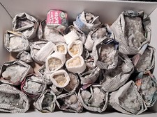 Mineralien Diabasbruch Herbornseelbach ca. 30 Stück (F_25_33)