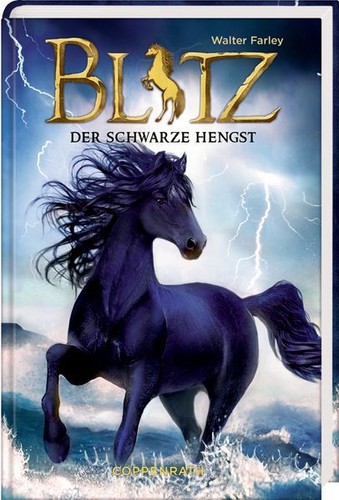Blitz der schwarze - blitz,