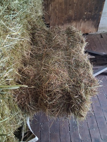 Heuballen bund ernte 2025 - heuballen,