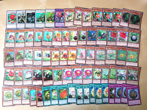 Karten naturia deck oh - deck, yu-gi-oh