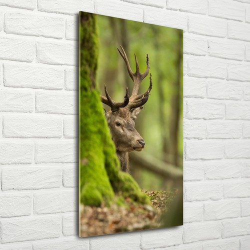 Wand bild kunstdruck aus - wand-bild,
