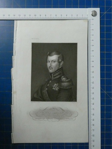 Mayer stahlstich prinz - c.mayer,