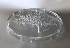 Luigi Colani Tortenplatte der