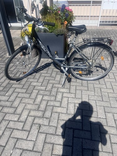 Pegasus damenfahrrad zoll - pegasus,
