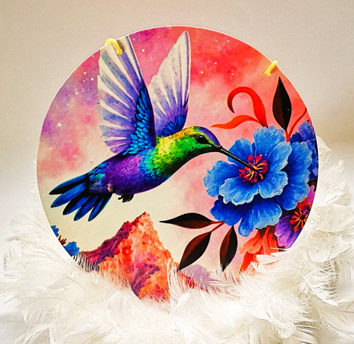 Prachtvoller kolibri mit - prachtvoller,