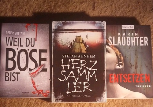 Thriller horror buchpacket - thriller/horror,
