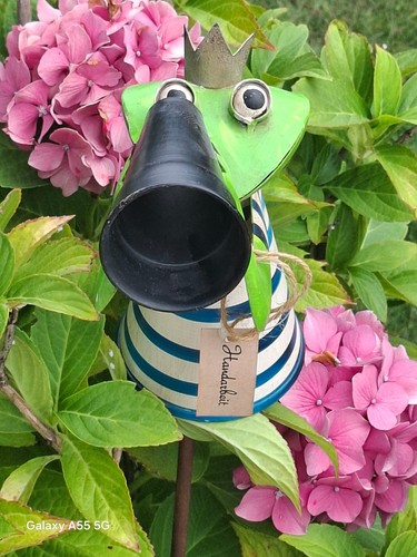 Zaunhocker zaunfigur frosch - zaunhocker,