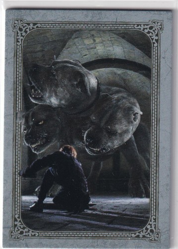 Panini harry potter - potter, evolution