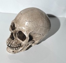 Totenschädel totenkopf - totenschädel, /