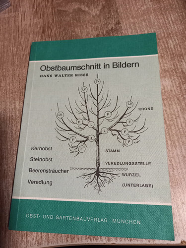 Obstbaumschnitt bildern - in,