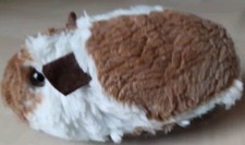 Meerschweinchen, mehrfarbig