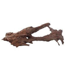 XXL Mangrovenwurzel Nr.3012