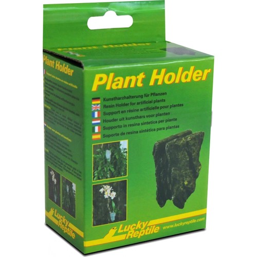 Lucky reptile plant holder - lucky,