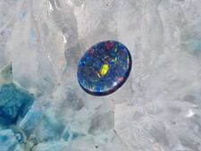 Schöne große Australische