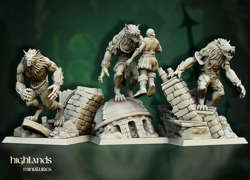 Transilvanya were wolves - 3x,