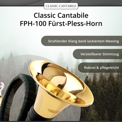 Fürst pless jagd - fürst, horn