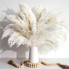 20 Pampasgras Deko Vase