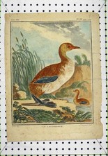 Original alter antiker Druck