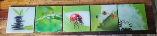 Bilder als set 20 - 20, x