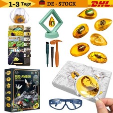 Bernstein Ausgrabungsset Für