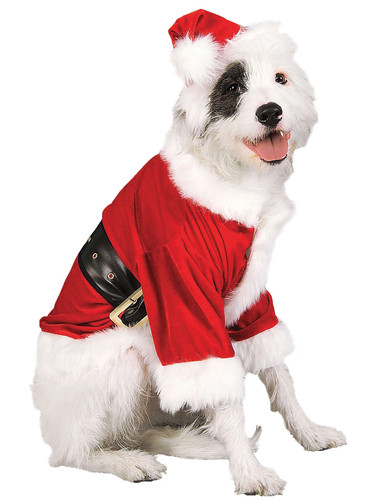Santa claus haustier kostüm - claus,
