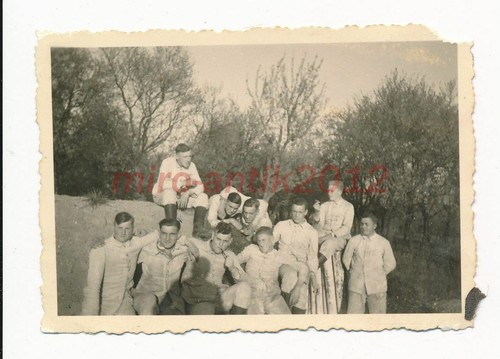 Foto rad 342 - rad, au/rhein