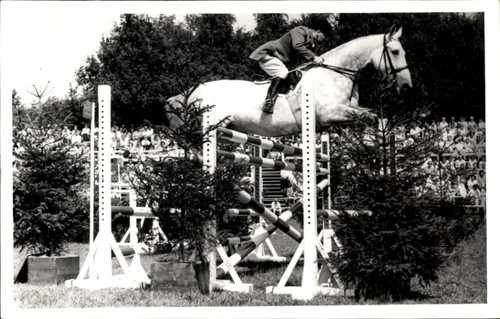 Foto springreiten sprung - foto, ak