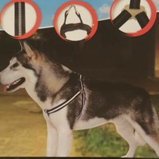 UK Sports Hundegeschirr Set No Pullig Nylon Hundeweste Leinen (Large)