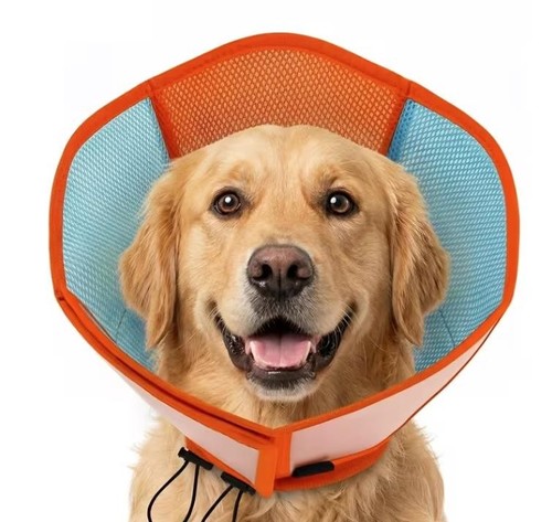 Hundekragen weich für - xl,